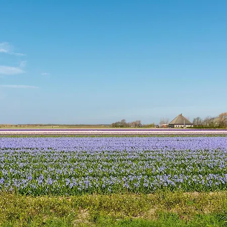 Luxe Keizerskroon - Aan Zee Julianadorp