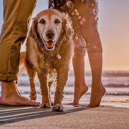 Luxe Keizerskroon - Aan Zee * Julianadorp