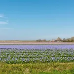 Luxe Keizerskroon - Aan Zee Julianadorp